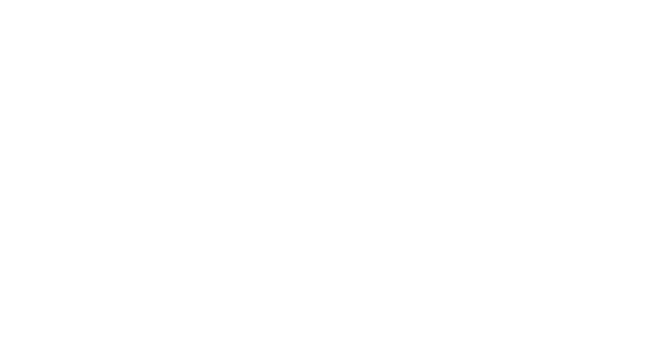 donau touristik