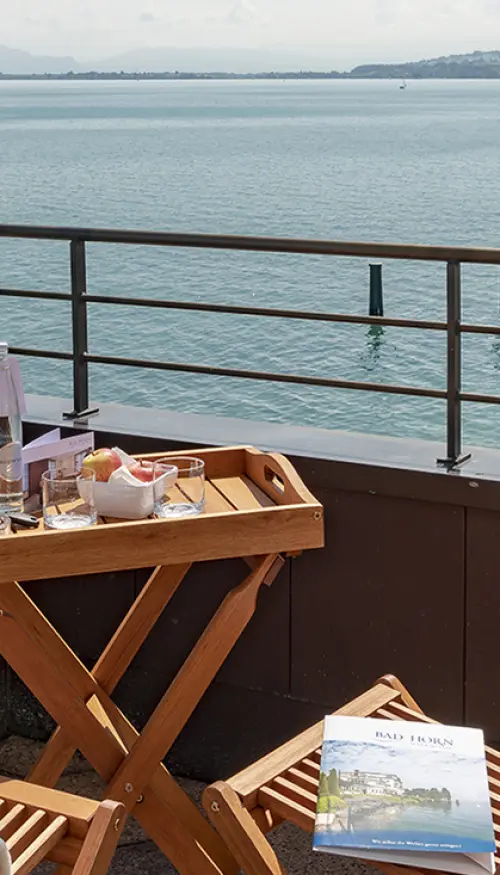 Superior Suitencabin - Bad Horn