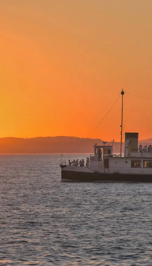 Sunset Cruise - Bad Horn