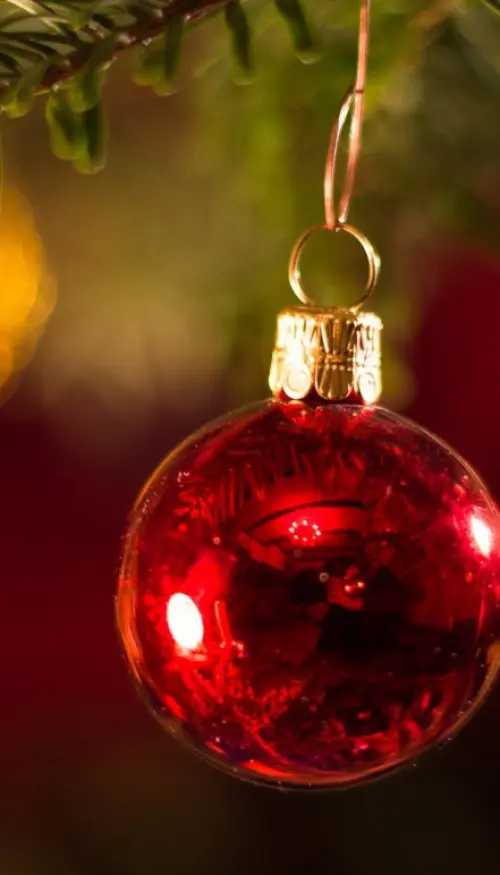 Weihnachten am Bodensee - Bad Horn