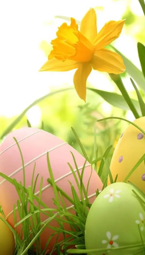 Easter-Package - Bad Horn