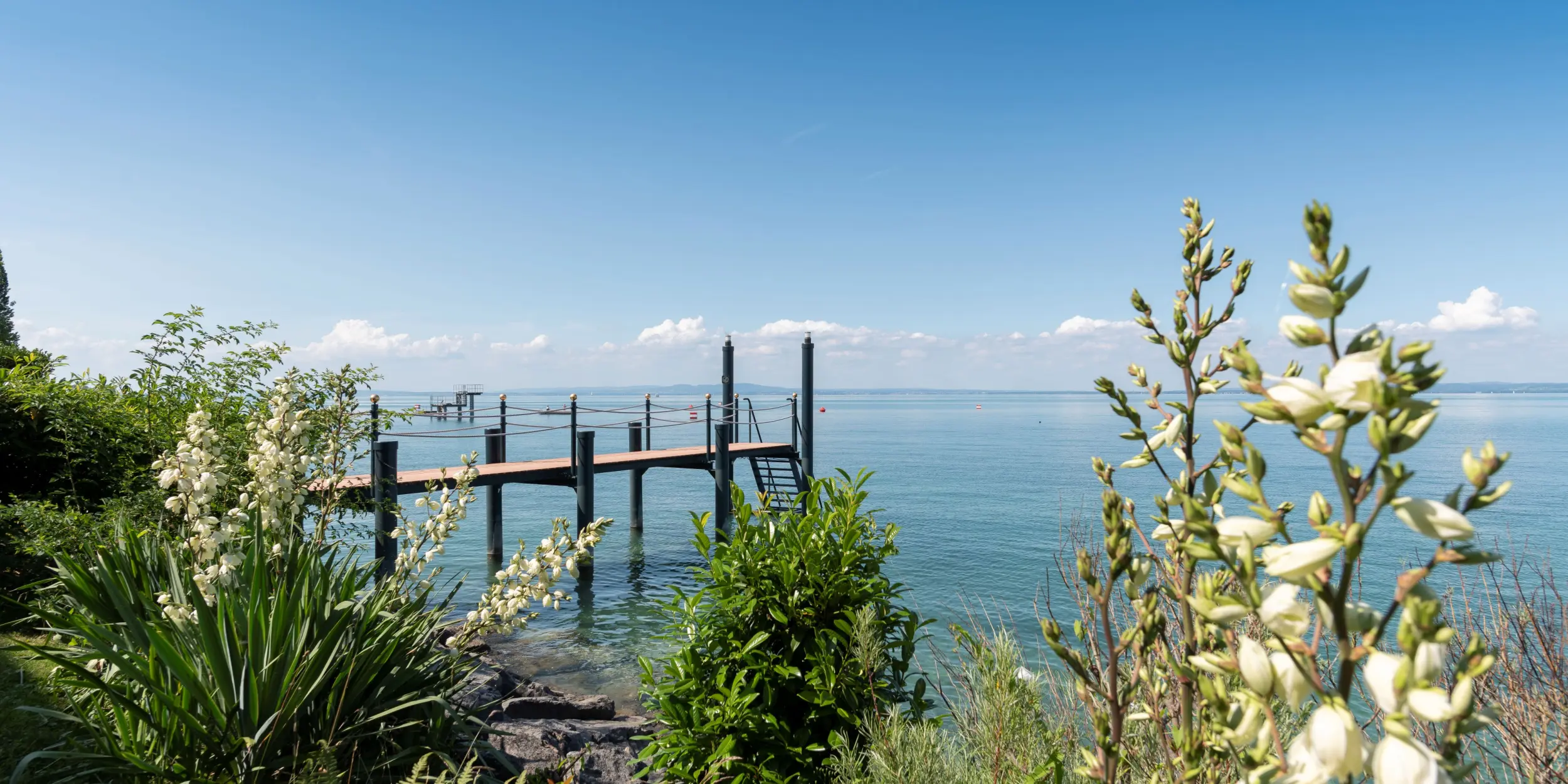 Brise de mer - Bad Horn