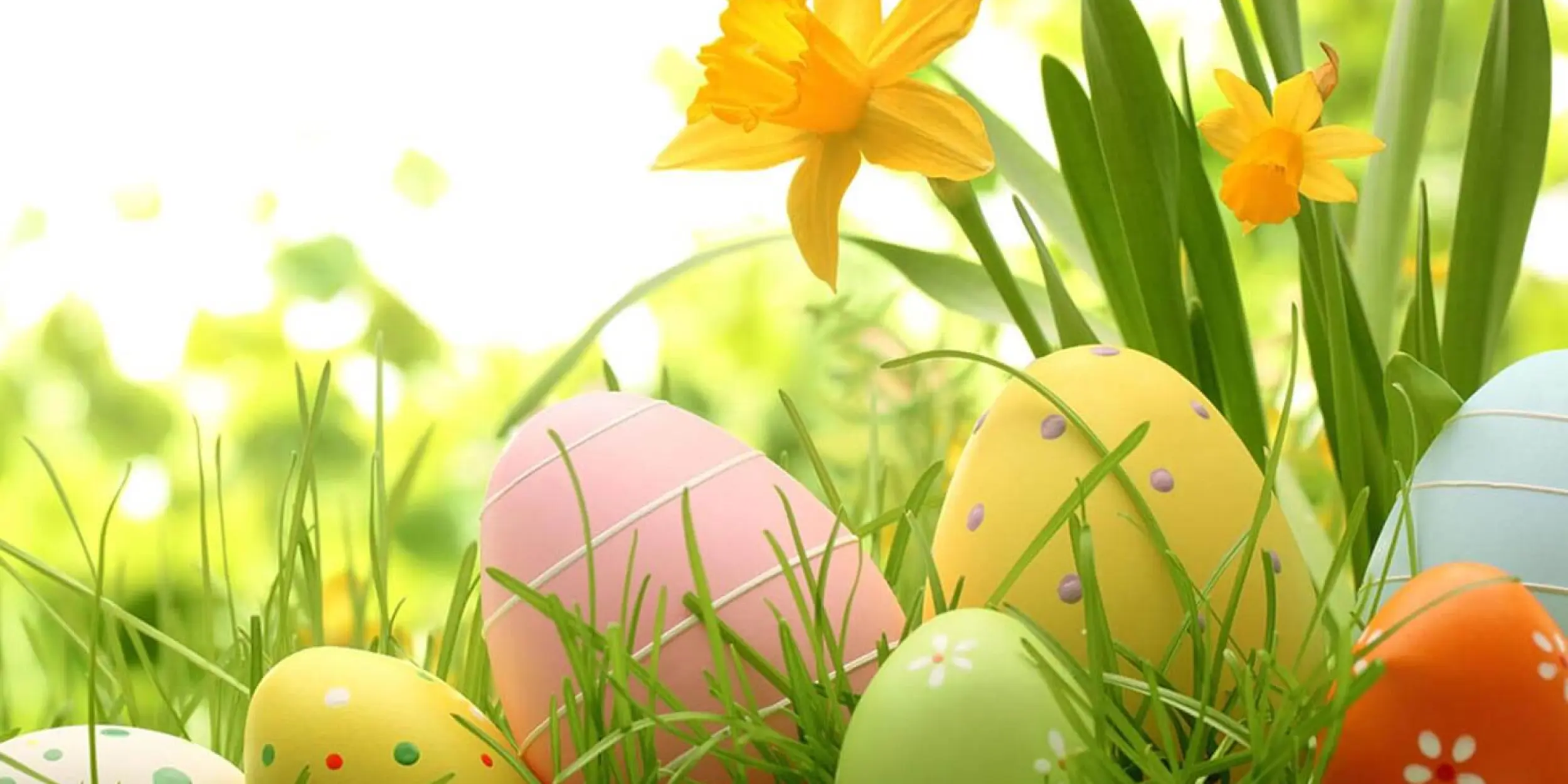 Coup de Pâques - Bad Horn