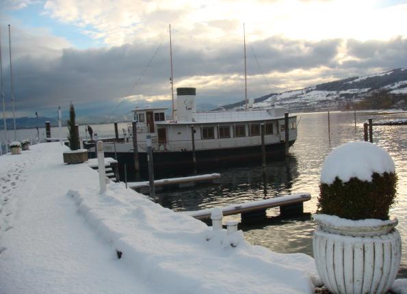 Croisière avec petit-déjeuner pour Noël - Croisière avec petit-déjeuner à bord du M.Y. « Emily » pour Noël